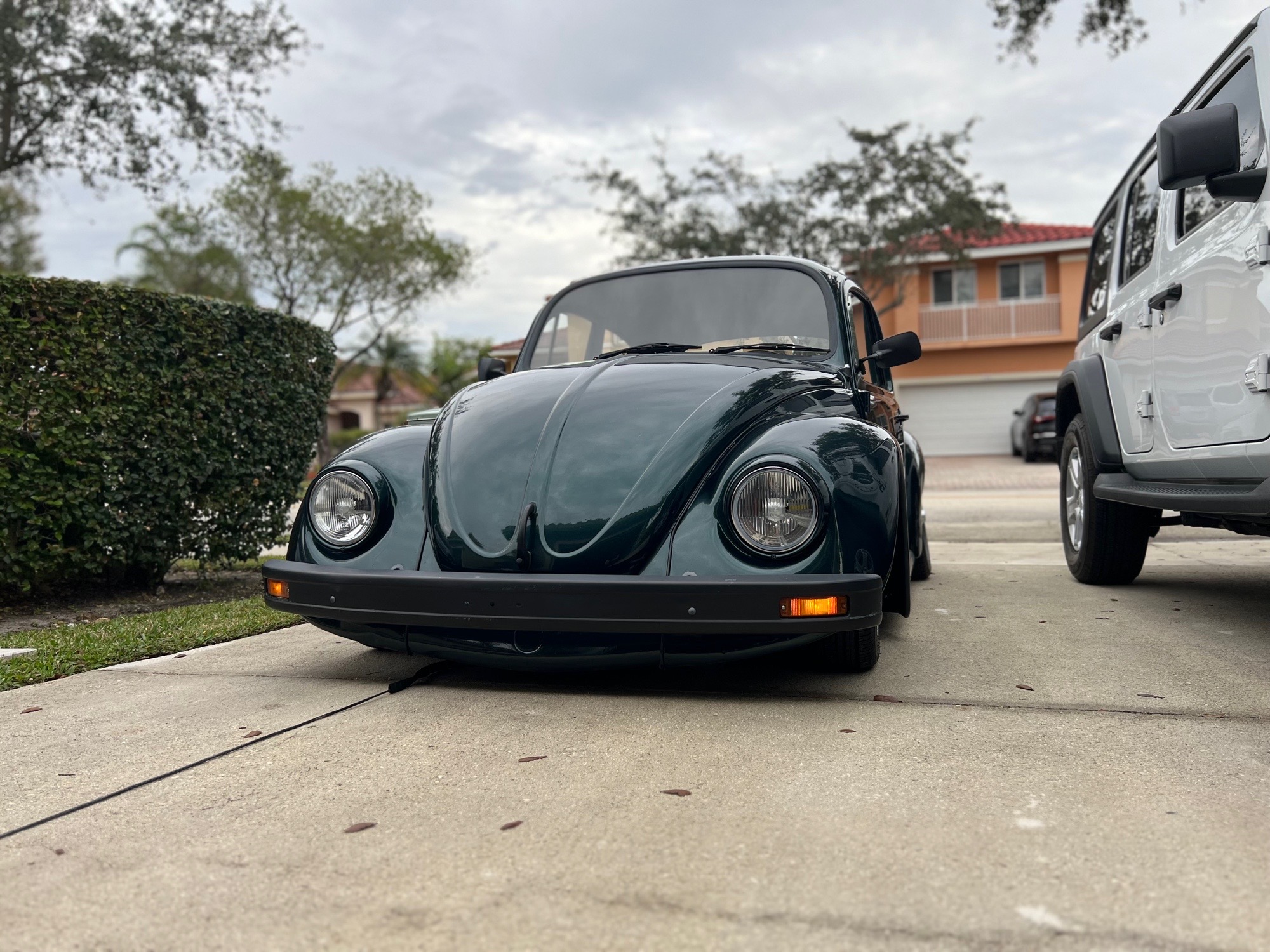 Lupe: the Mexican beetle