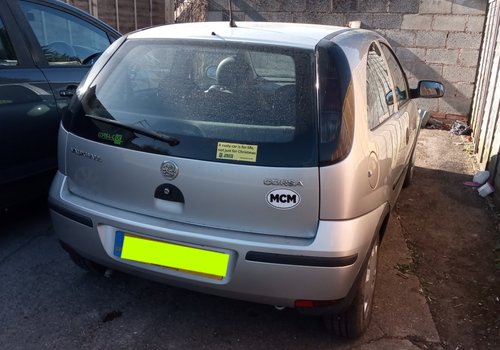 Basil The Corsa