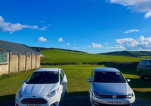 Fiesta X Polo